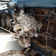 Image for article titled Animal Feces, Doors Falling Off, Huge Rust Holes: Here's Everything Wrong With David Tracy's $1500 Jeep FC